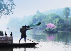 點擊查看詳細信息...