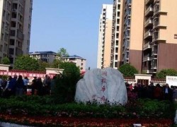 點(diǎn)擊查看詳細(xì)信息...