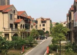 點(diǎn)擊查看詳細(xì)信息...