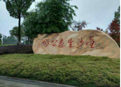 點(diǎn)擊查看詳細(xì)信息...